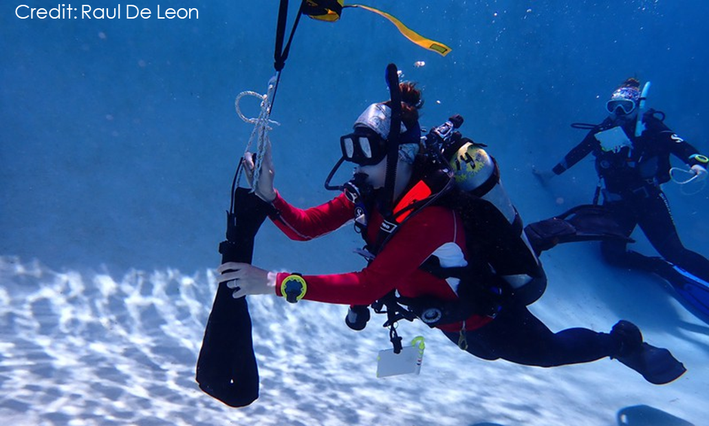 Photo of diver in training.