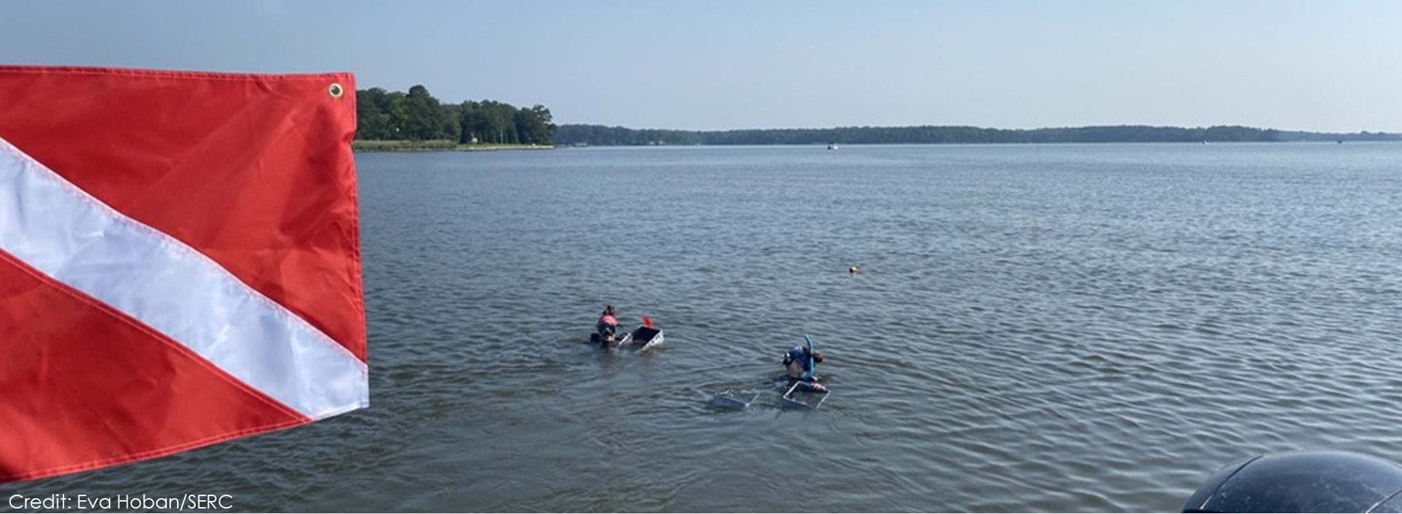 Image with diver flag and two people in the water with scuba gear on.