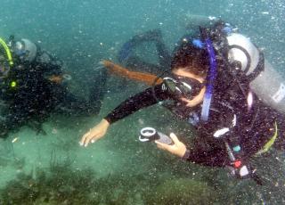 Underwater navigation is an essential skill taught at the Smithsonian Scientific Diving Course